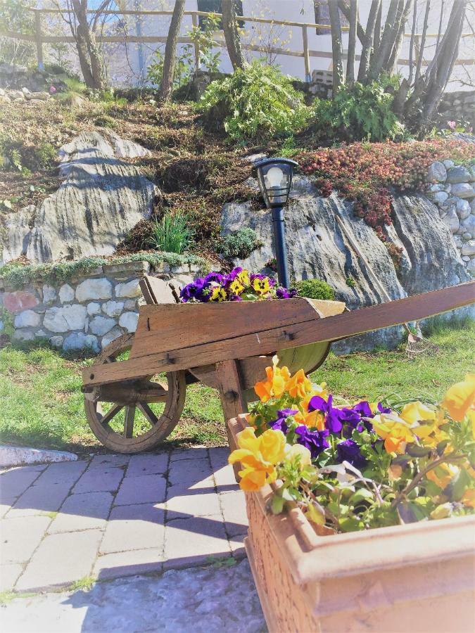 Apartmán La Casa Nel Bosco Malcesine Exteriér fotografie